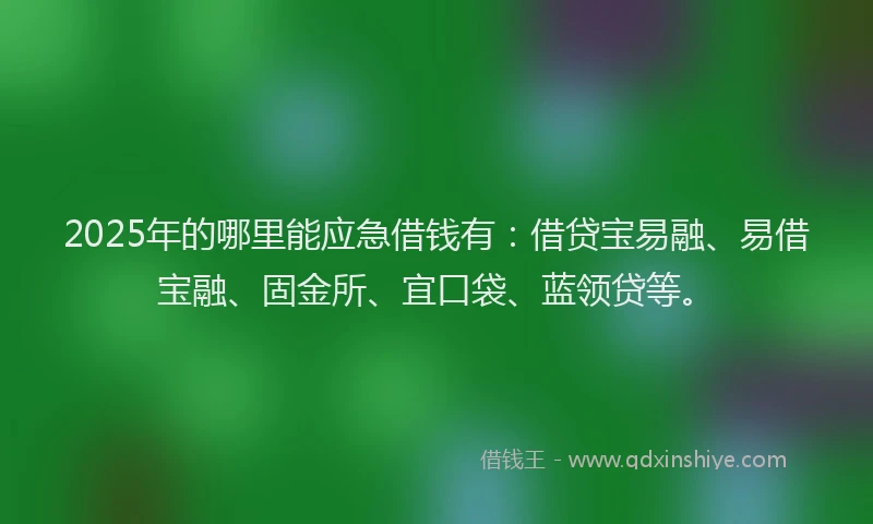 2025年的哪里能应急借钱有：借贷宝易融、易借宝融、固金所、宜口袋、蓝领贷等。
