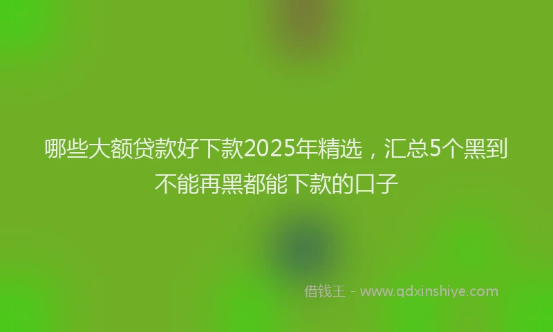 哪些大额贷款好下款2025年精选，汇总5个黑到不能再黑都能下款的口子