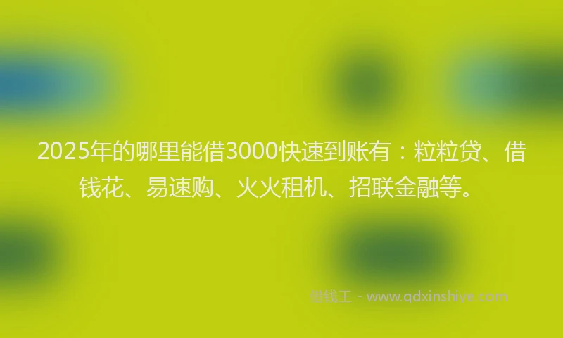 2025年的哪里能借3000快速到账有：粒粒贷、借钱花、易速购、火火租机、招联金融等。