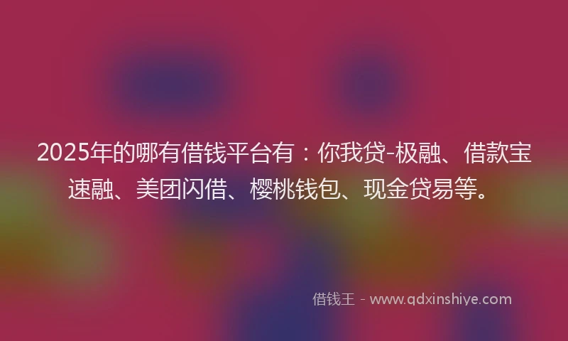 2025年的哪有借钱平台有：你我贷-极融、借款宝速融、美团闪借、樱桃钱包、现金贷易等。