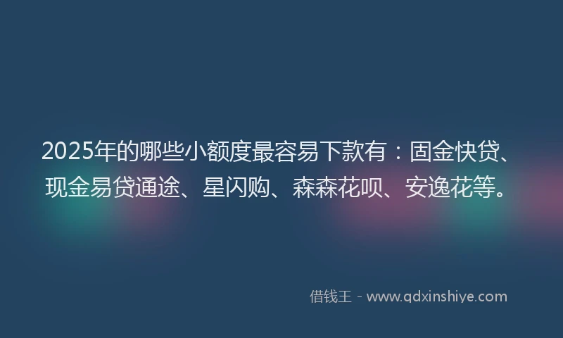 2025年的哪些小额度最容易下款有：固金快贷、现金易贷通途、星闪购、森森花呗、安逸花等。