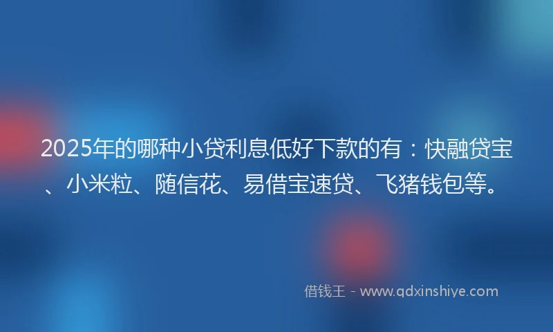 2025年的哪种小贷利息低好下款的有：快融贷宝、小米粒、随信花、易借宝速贷、飞猪钱包等。