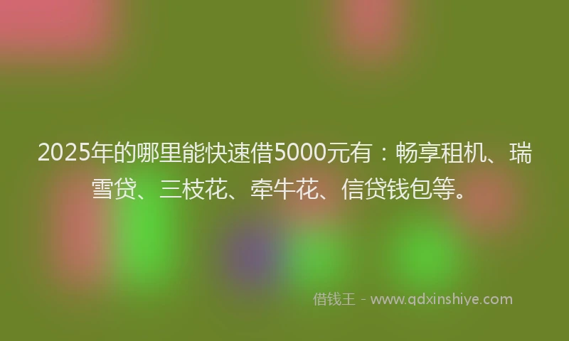 2025年的哪里能快速借5000元有：畅享租机、瑞雪贷、三枝花、牵牛花、信贷钱包等。