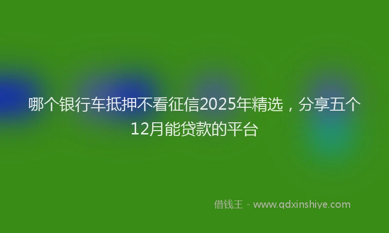 哪个银行车抵押不看征信2025年精选，分享五个12月能贷款的平台