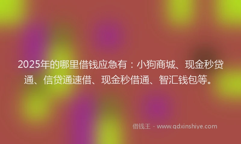 2025年的哪里借钱应急有：小狗商城、现金秒贷通、信贷通速借、现金秒借通、智汇钱包等。