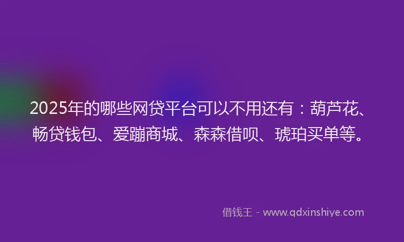2025年的哪些网贷平台可以不用还有：葫芦花、畅贷钱包、爱蹦商城、森森借呗、琥珀买单等。