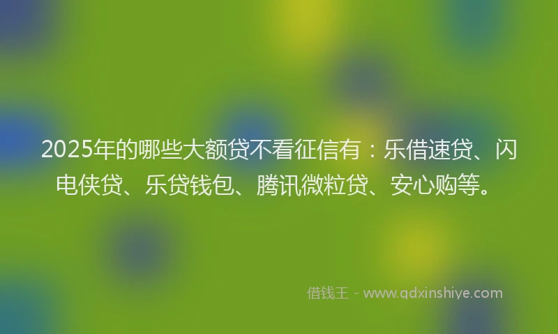 2025年的哪些大额贷不看征信有：乐借速贷、闪电侠贷、乐贷钱包、腾讯微粒贷、安心购等。