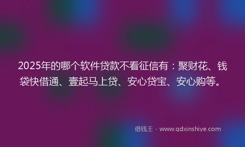 2025年的哪个软件贷款不看征信有：聚财花、钱袋快借通、壹起马上贷、安心贷宝、安心购等。