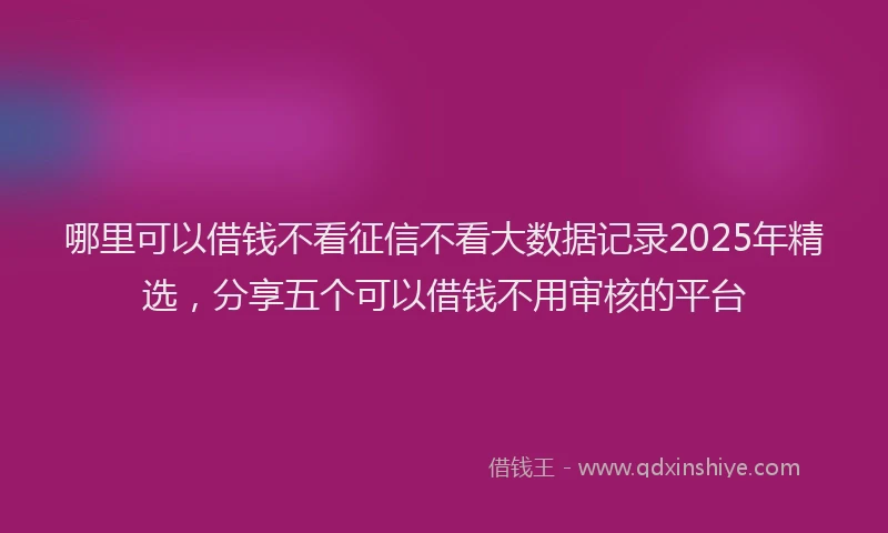 哪里可以借钱不看征信不看大数据记录2025年精选，分享五个可以借钱不用审核的平台