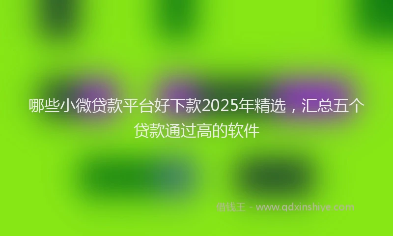 哪些小微贷款平台好下款2025年精选，汇总五个贷款通过高的软件