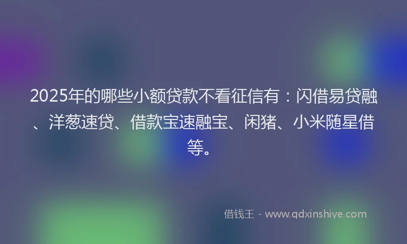 2025年的哪些小额贷款不看征信有：闪借易贷融、洋葱速贷、借款宝速融宝、闲猪、小米随星借等。