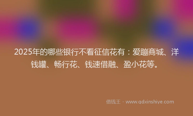 2025年的哪些银行不看征信花有：爱蹦商城、洋钱罐、畅行花、钱速借融、盈小花等。