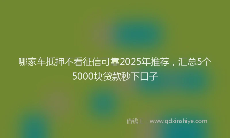 哪家车抵押不看征信可靠2025年推荐，汇总5个5000块贷款秒下口子
