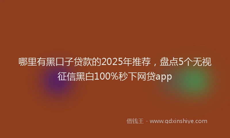 哪里有黑口子贷款的2025年推荐，盘点5个无视征信黑白100%秒下网贷app