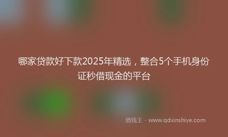 哪家贷款好下款2025年精选，整合5个手机身份证秒借现金的平台