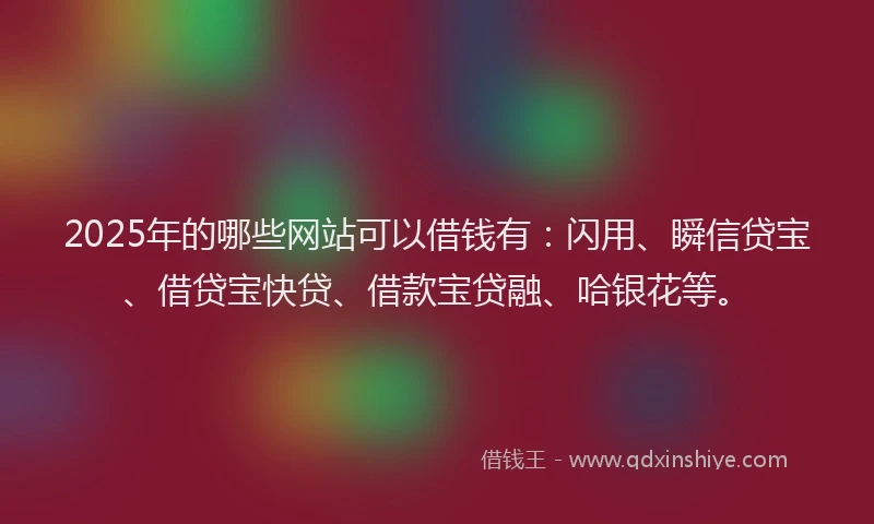 2025年的哪些网站可以借钱有：闪用、瞬信贷宝、借贷宝快贷、借款宝贷融、哈银花等。