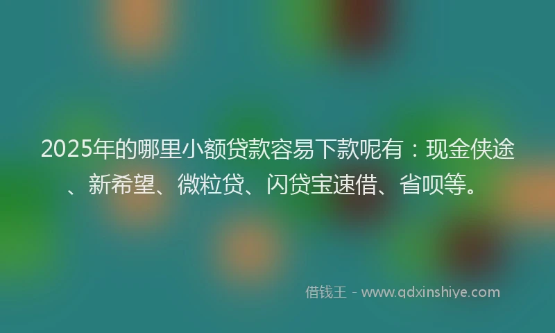 2025年的哪里小额贷款容易下款呢有：现金侠途、新希望、微粒贷、闪贷宝速借、省呗等。