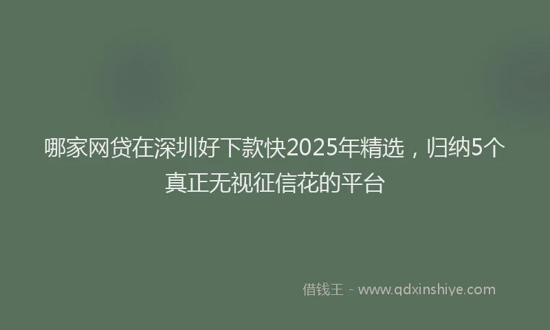 哪家网贷在深圳好下款快2025年精选，归纳5个真正无视征信花的平台