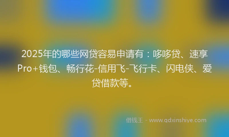 2025年的哪些网贷容易申请有：哆哆贷、速享Pro+钱包、畅行花-信用飞-飞行卡、闪电侠、爱贷借款等。