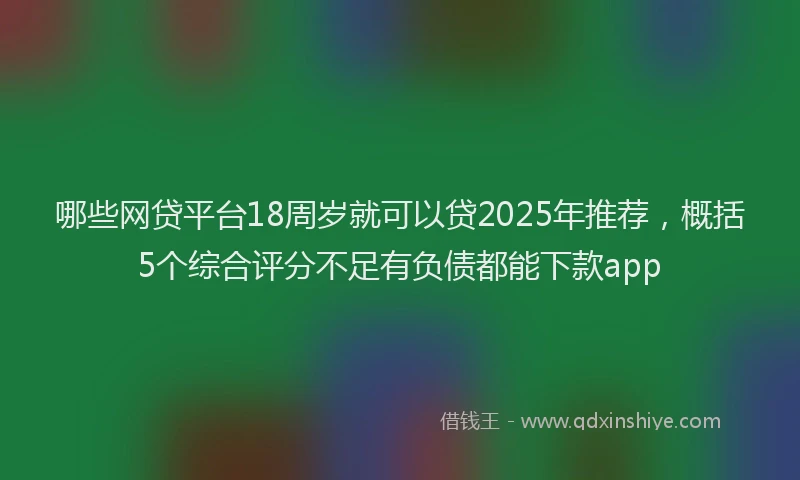 哪些网贷平台18周岁就可以贷2025年推荐，概括5个综合评分不足有负债都能下款app