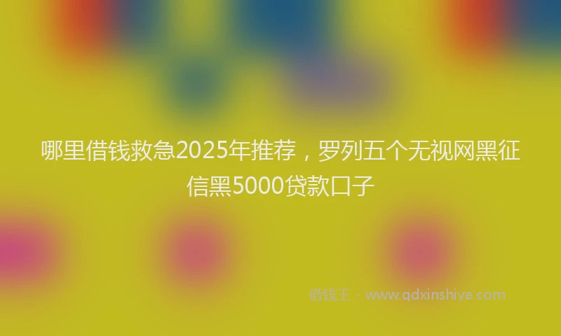 哪里借钱救急2025年推荐，罗列五个无视网黑征信黑5000贷款口子