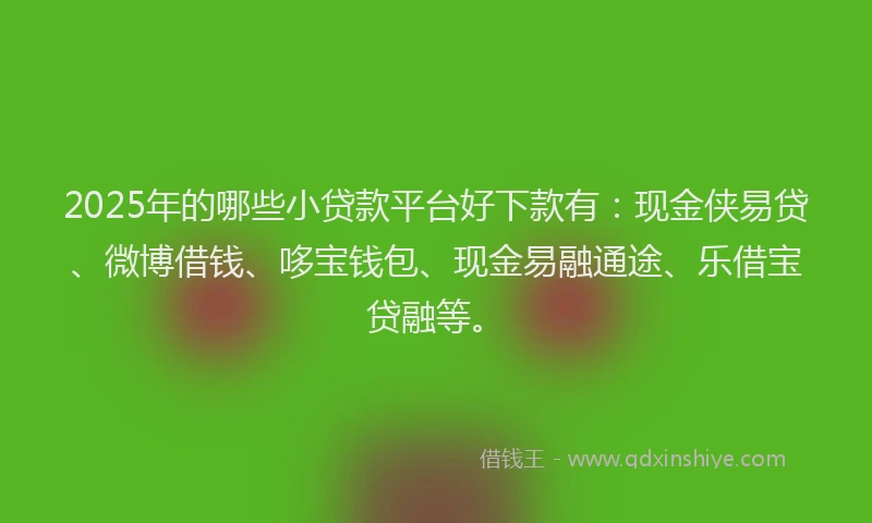 2025年的哪些小贷款平台好下款有：现金侠易贷、微博借钱、哆宝钱包、现金易融通途、乐借宝贷融等。
