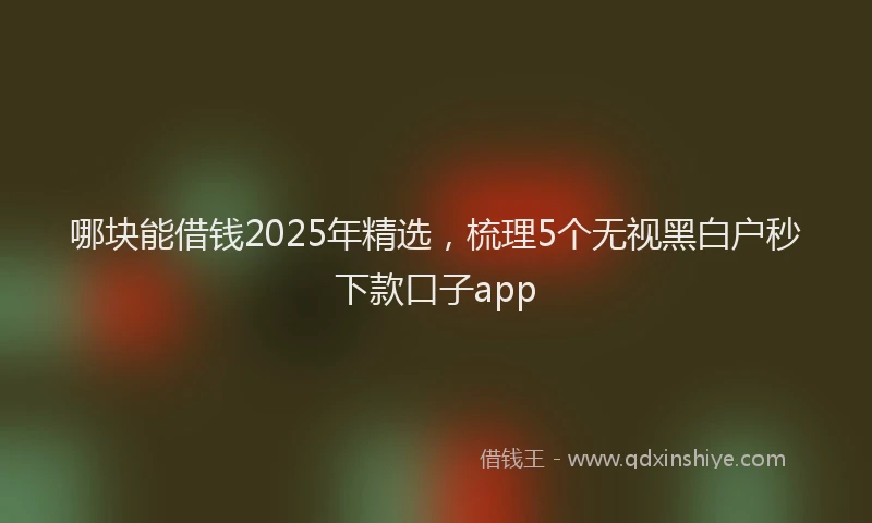 哪块能借钱2025年精选，梳理5个无视黑白户秒下款口子app