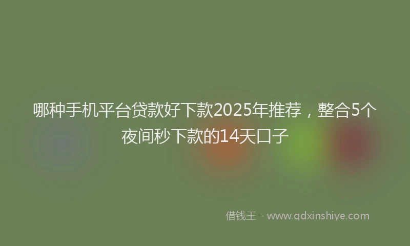 哪种手机平台贷款好下款2025年推荐，整合5个夜间秒下款的14天口子