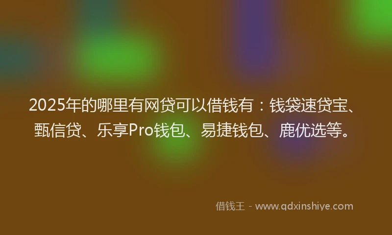 2025年的哪里有网贷可以借钱有：钱袋速贷宝、甄信贷、乐享Pro钱包、易捷钱包、鹿优选等。