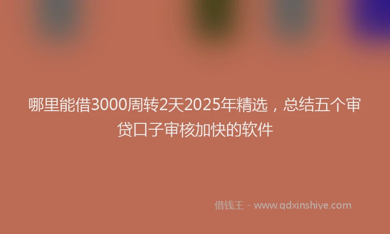 哪里能借3000周转2天2025年精选，总结五个审贷口子审核加快的软件