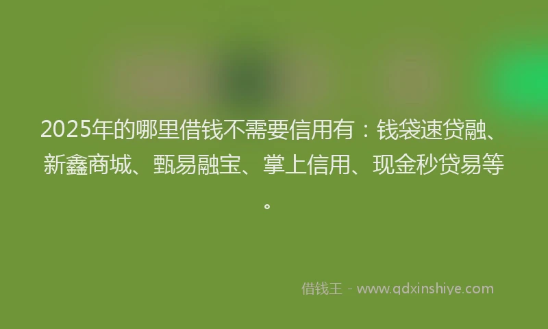2025年的哪里借钱不需要信用有：钱袋速贷融、新鑫商城、甄易融宝、掌上信用、现金秒贷易等。