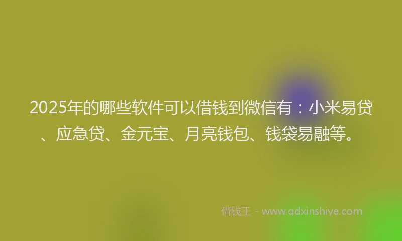 2025年的哪些软件可以借钱到微信有：小米易贷、应急贷、金元宝、月亮钱包、钱袋易融等。