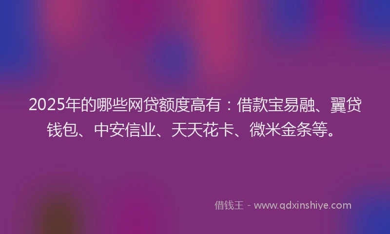 2025年的哪些网贷额度高有：借款宝易融、翼贷钱包、中安信业、天天花卡、微米金条等。