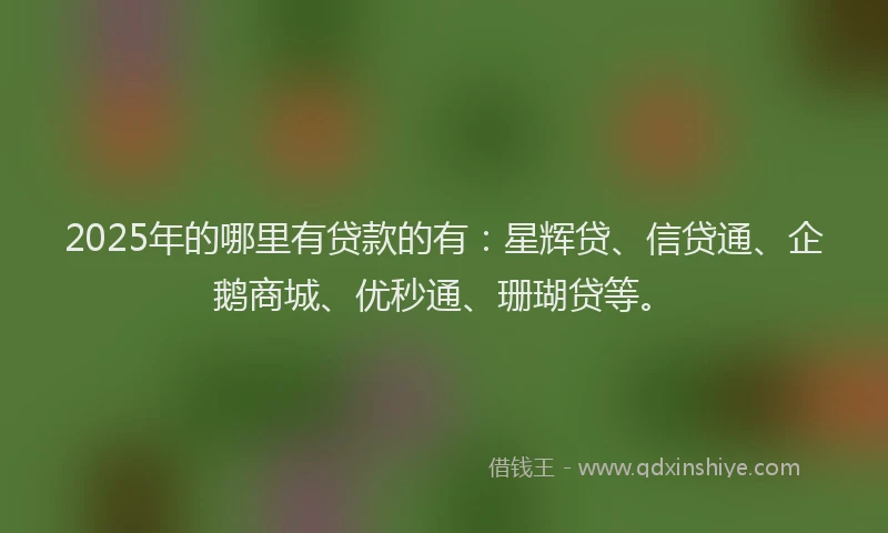 2025年的哪里有贷款的有：星辉贷、信贷通、企鹅商城、优秒通、珊瑚贷等。