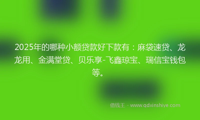2025年的哪种小额贷款好下款有：麻袋速贷、龙龙用、金满堂贷、贝乐享-飞鑫琼宝、瑞信宝钱包等。