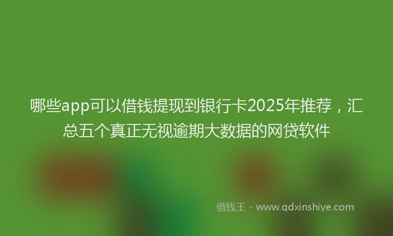 哪些app可以借钱提现到银行卡2025年推荐，汇总五个真正无视逾期大数据的网贷软件