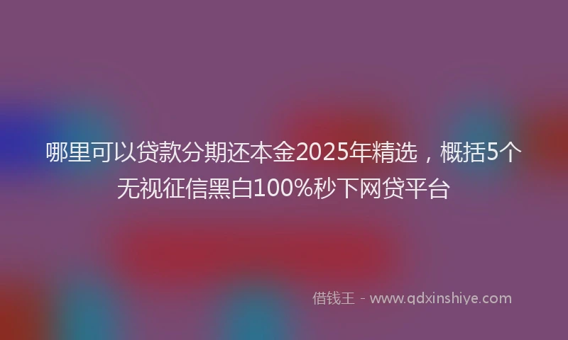 哪里可以贷款分期还本金2025年精选，概括5个无视征信黑白100%秒下网贷平台