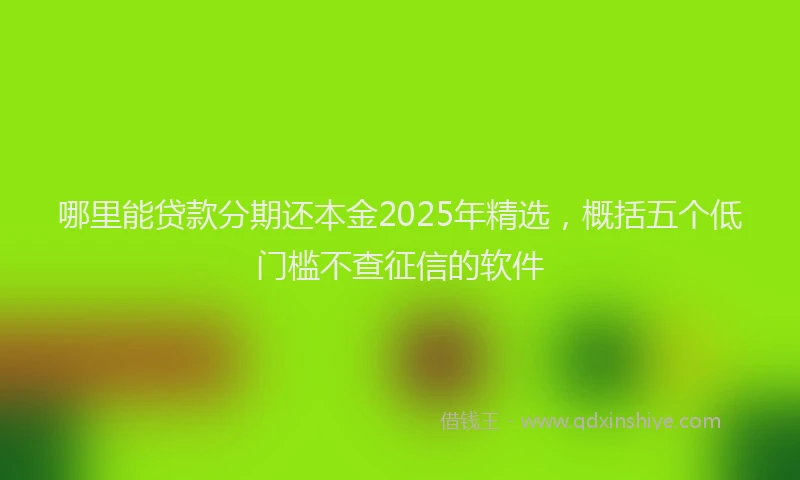 哪里能贷款分期还本金2025年精选，概括五个低门槛不查征信的软件