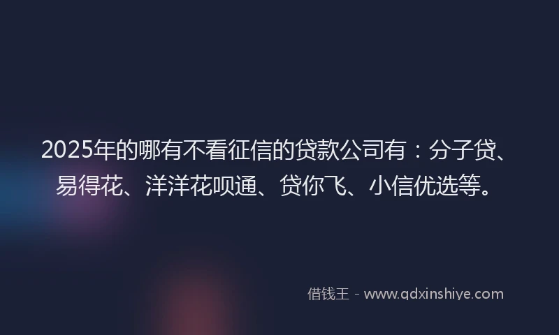 2025年的哪有不看征信的贷款公司有：分子贷、易得花、洋洋花呗通、贷你飞、小信优选等。