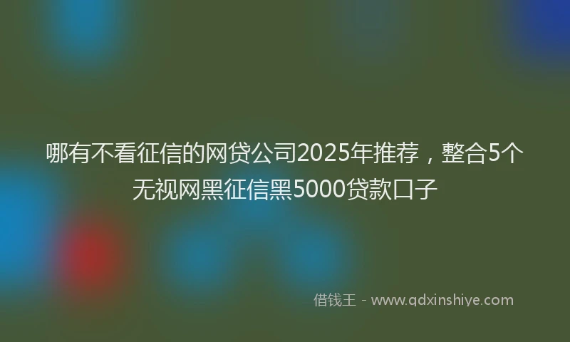 哪有不看征信的网贷公司2025年推荐，整合5个无视网黑征信黑5000贷款口子