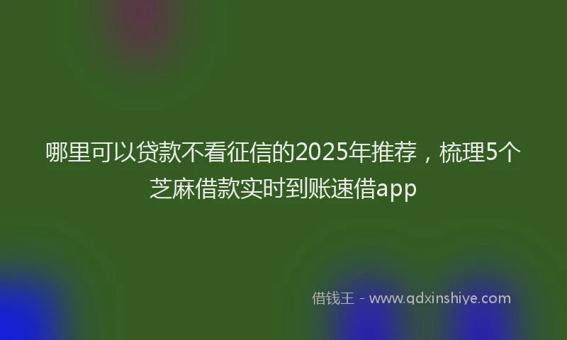 哪里可以贷款不看征信的2025年推荐，梳理5个芝麻借款实时到账速借app