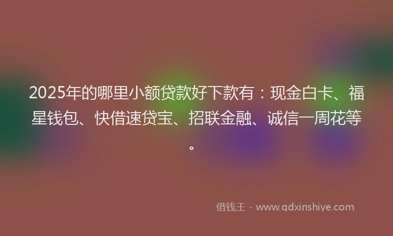 2025年的哪里小额贷款好下款有：现金白卡、福星钱包、快借速贷宝、招联金融、诚信一周花等。