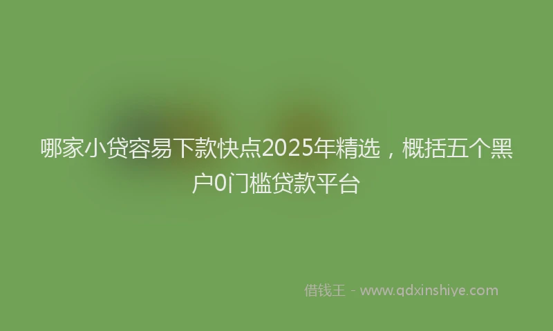 哪家小贷容易下款快点2025年精选，概括五个黑户0门槛贷款平台