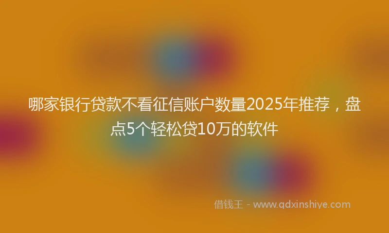 哪家银行贷款不看征信账户数量2025年推荐，盘点5个轻松贷10万的软件