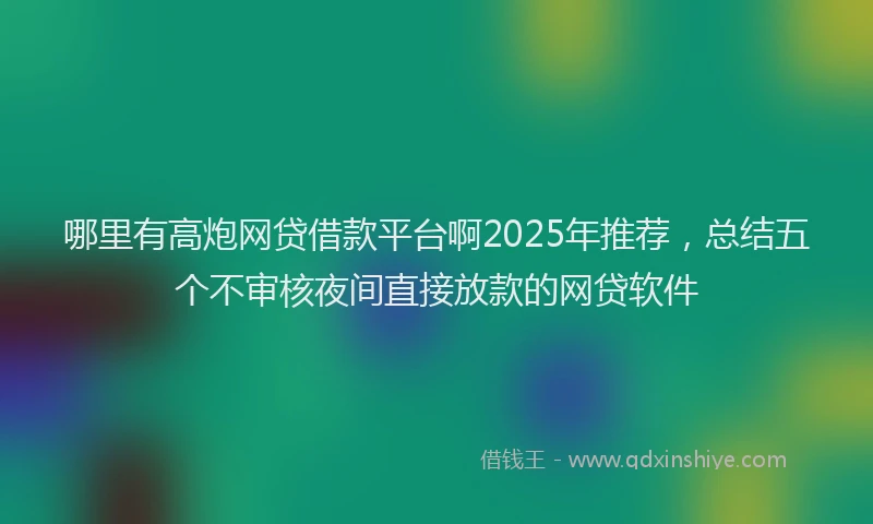 哪里有高炮网贷借款平台啊2025年推荐，总结五个不审核夜间直接放款的网贷软件