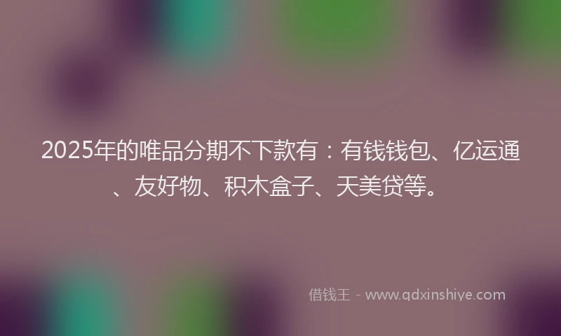 2025年的唯品分期不下款有：有钱钱包、亿运通、友好物、积木盒子、天美贷等。
