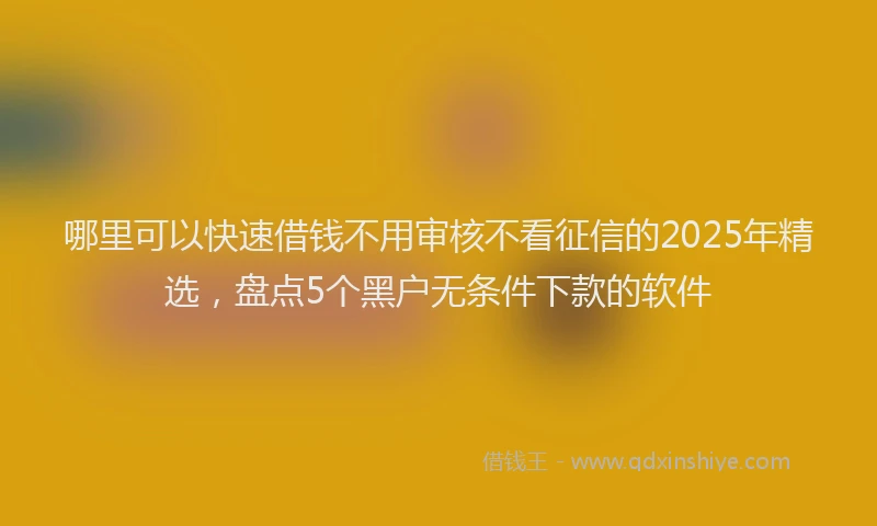哪里可以快速借钱不用审核不看征信的2025年精选，盘点5个黑户无条件下款的软件