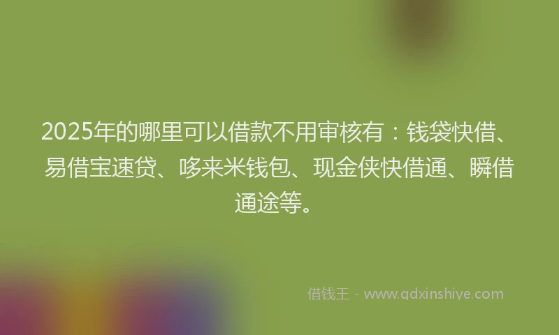 2025年的哪里可以借款不用审核有：钱袋快借、易借宝速贷、哆来米钱包、现金侠快借通、瞬借通途等。