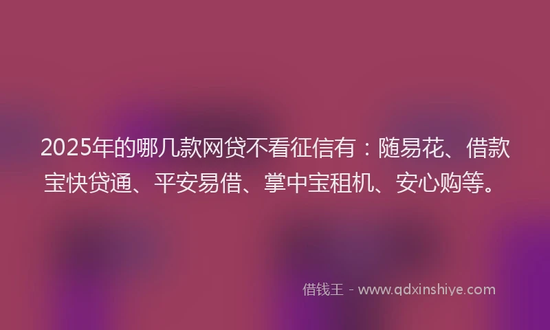 2025年的哪几款网贷不看征信有：随易花、借款宝快贷通、平安易借、掌中宝租机、安心购等。