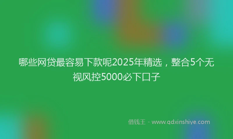 哪些网贷最容易下款呢2025年精选，整合5个无视风控5000必下口子